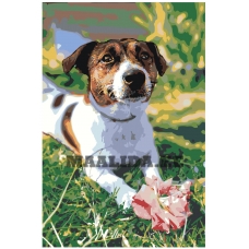 Maalid numbrite järgi Z-Z42082