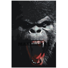 Maalid numbrite järgi Z-Z4241