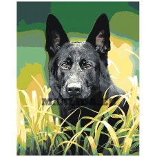 Maalid numbrite järgi Z-Z4269