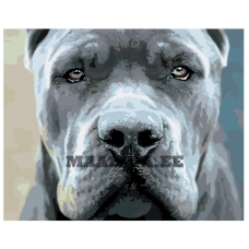 Maalid numbrite järgi Z-Z4671