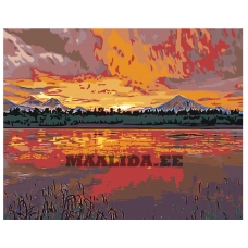 Maalid numbrite järgi Z-Z790