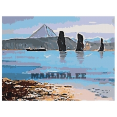 Maalid numbrite järgi Z-Z9212