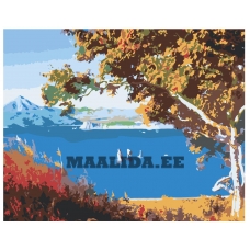 Maalid numbrite järgi Z-Z9992