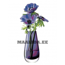 Maalid numbrite järgi Z-ZSPB101100168