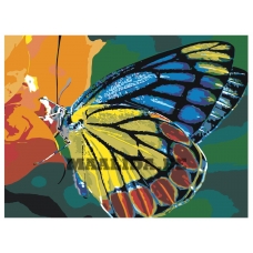 Maalid numbrite järgi Z-z15061