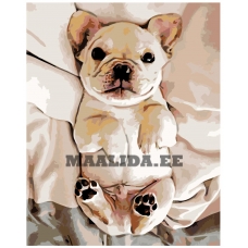 Maalid numbrite järgi Z-z4742