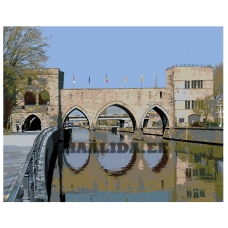 Maalid numbrite järgi Z101100257