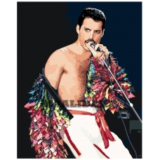 Maalid numbrite järgi Z101100892