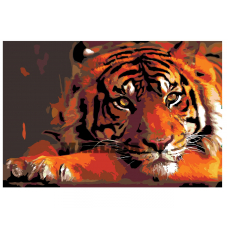 Maalid numbrite järgi Z1795