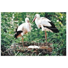 Maalid numbrite järgi Z2858