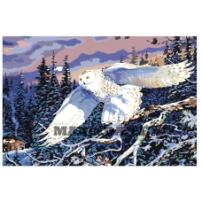 Maalid numbrite järgi Z3175