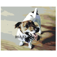 Maalid numbrite järgi Z3484