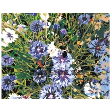 Maalid numbrite järgi Z4120