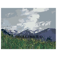 Maalid numbrite järgi Z4693