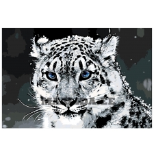 Maalid numbrite järgi Z49772