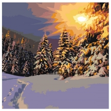 Maalid numbrite järgi Z5373