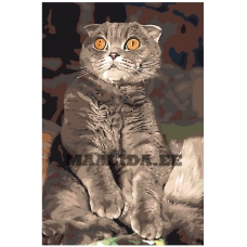 Maalid numbrite järgi Z5700