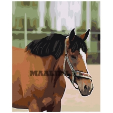 Maalid numbrite järgi Z5742