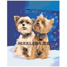 Maalid numbrite järgi Z5745