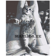 Maalid numbrite järgi Z6698