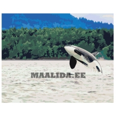 Maalid numbrite järgi Z68501