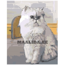 Maalid numbrite järgi ZAI496028-4050