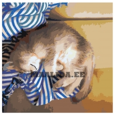 Maalid numbrite järgi ZAI498578v2