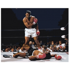 Maalid numbrite järgi ZGUS161019-5-4050