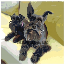 Maalid numbrite järgi ets226v3-4040