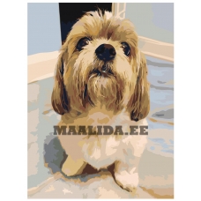 Maalid numbrite järgi ets234-3040