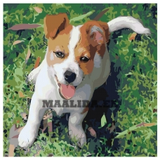 Maalid numbrite järgi ets350-4040