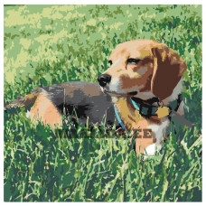 Maalid numbrite järgi ets351-4040