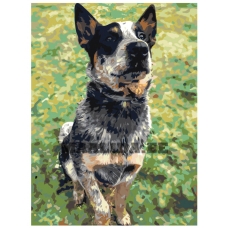 Maalid numbrite järgi ets357-2-3040