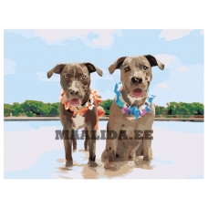 Maalid numbrite järgi ets359-3040