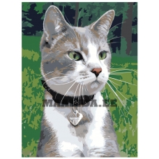 Maalid numbrite järgi ets360-2-3040