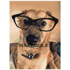 Maalid numbrite järgi ets360-3040