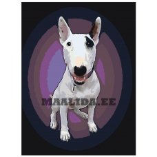 Maalid numbrite järgi ets446-3040