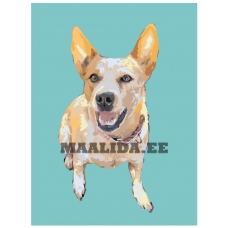 Maalid numbrite järgi ets454-3-3040