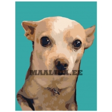 Maalid numbrite järgi ets454v2-3040