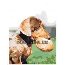 Maalid numbrite järgi ets475-8-3040