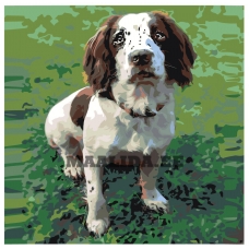 Maalid numbrite järgi ets480-2v2-30401