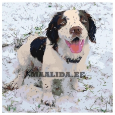 Maalid numbrite järgi ets480-3040