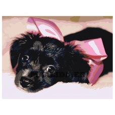 Maalid numbrite järgi ets485-3040