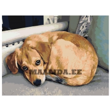 Maalid numbrite järgi ets488-3040