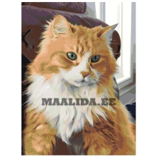 Maalid numbrite järgi ets489v2-3040