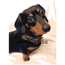 Maalid numbrite järgi ets500-30401