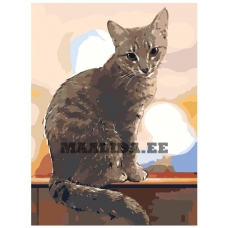 Maalid numbrite järgi ets505v2-3040