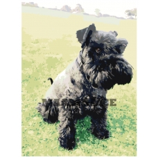 Maalid numbrite järgi ets506-2-30401