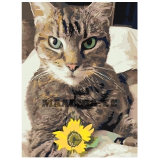 Maalid numbrite järgi ets520-3040