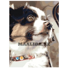 Maalid numbrite järgi ets524-3040